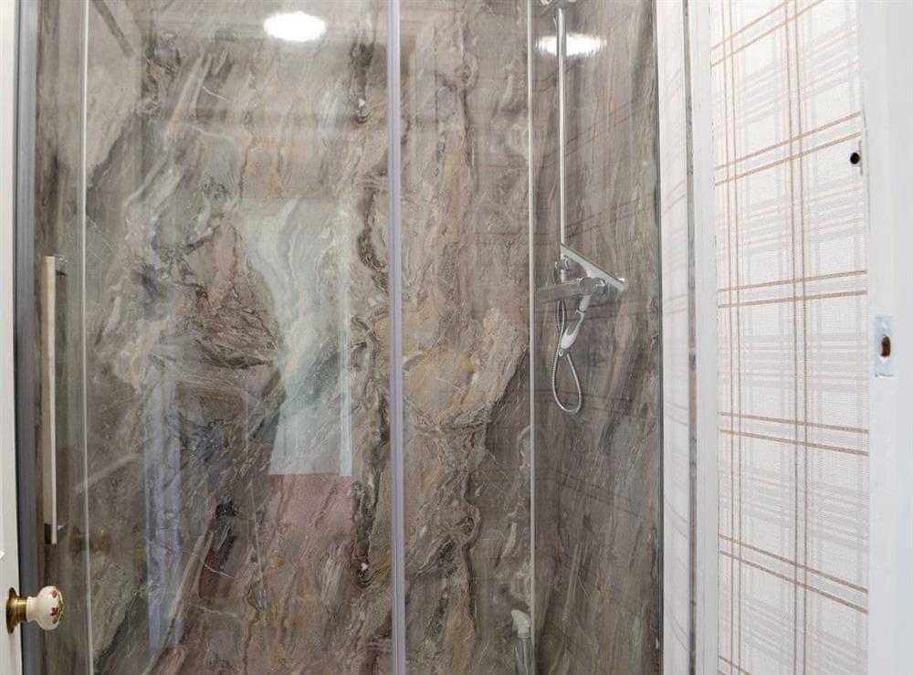 Shower room (photo 2) at Llansantffraed House in Hundred House, near Llandrindod Wells, Powys