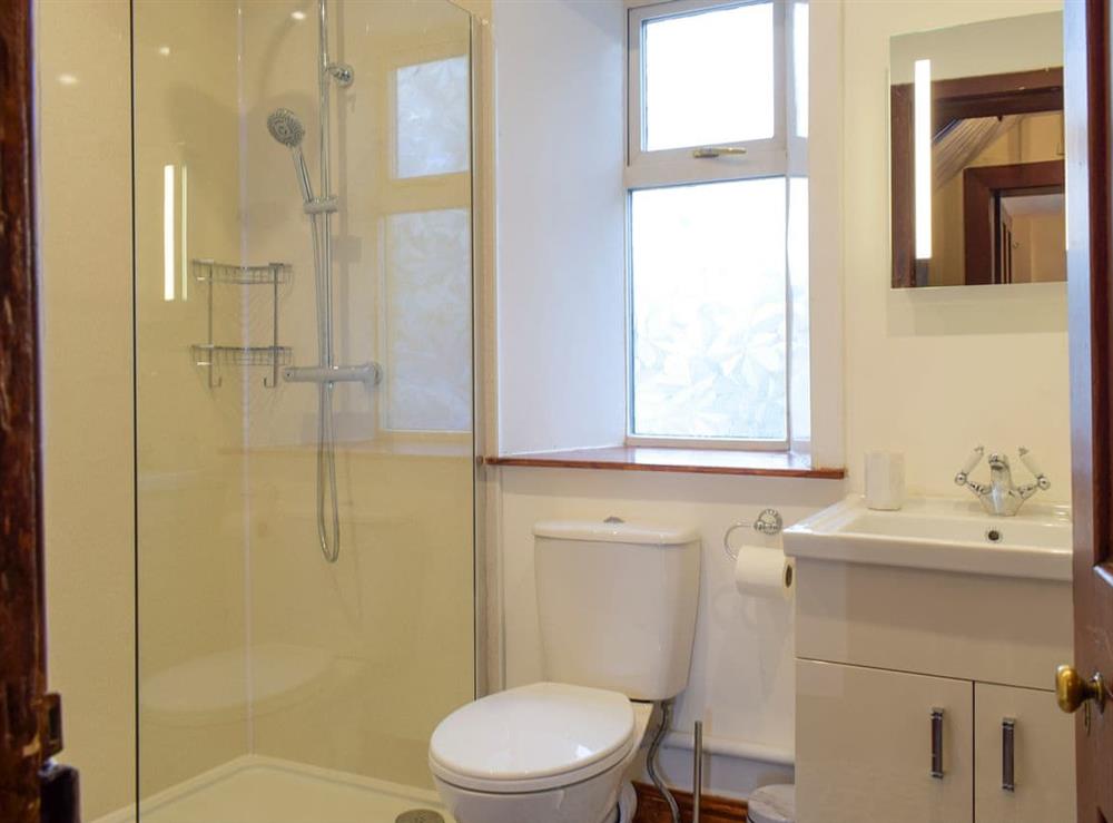 Shower room at Llantysilio Lodge in Llangollen, Denbighshire