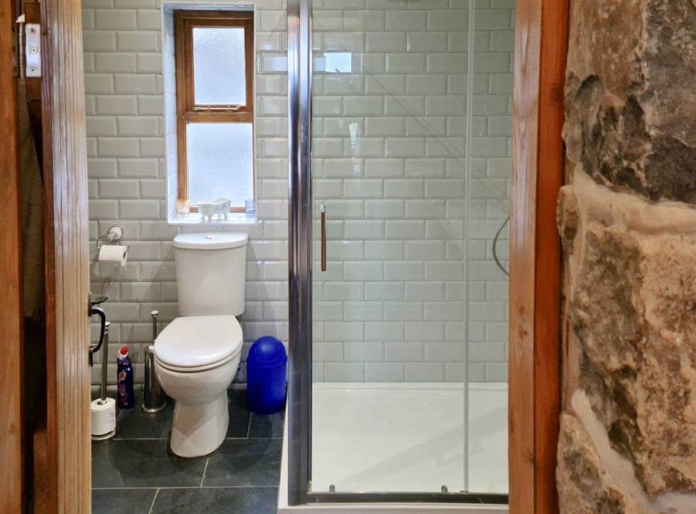 Shower room at Llech Y  Dwr- The Bothy in Pontllyfni, near Caernarfon, Gwynedd