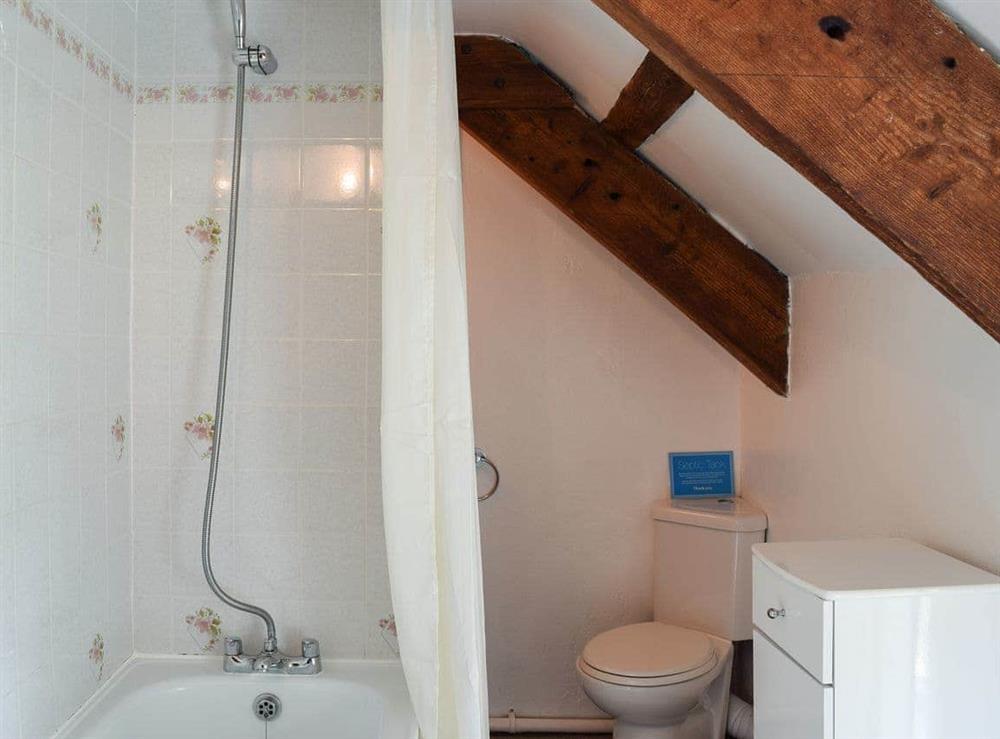 Shower room at Lletty Cottage in Penrherber, Newcastle Emlyn, Carmarthenshire., Dyfed