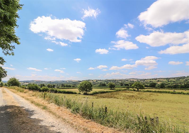 The area around Llety'r Wennol at Lletyr Wennol, Lampeter