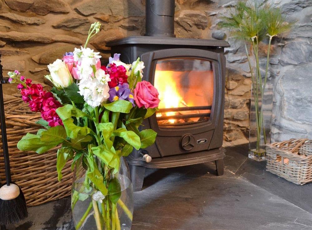 Cosy wood burner at Llifon in Bethesda Bach, near Caernarfon, Gwynedd