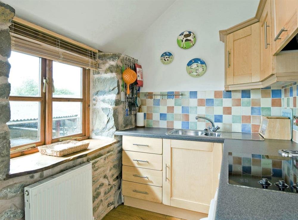 Kitchen (photo 2) at Llofft Stabal in Llanerfyl, Powys