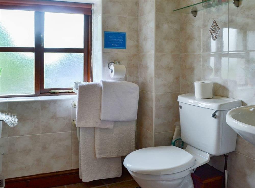 Bathroom at Lloft Yr Yd in Caernarfon, Gwynedd