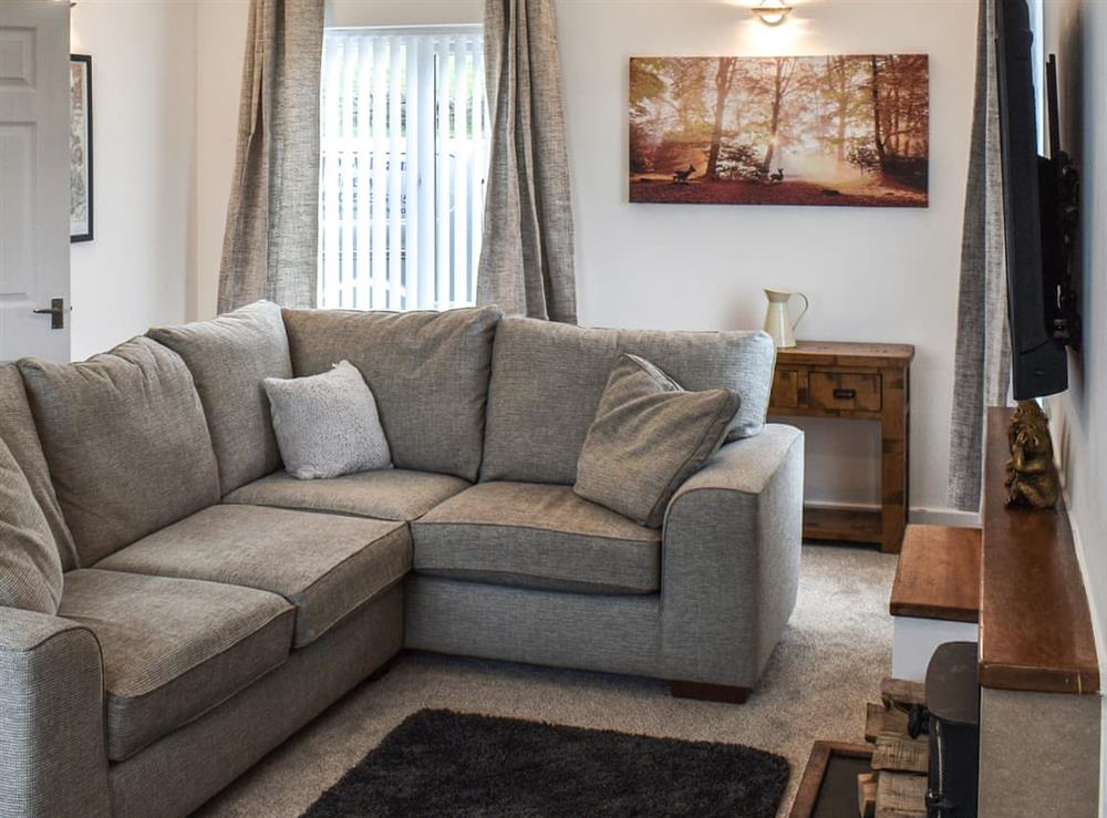 Living room (photo 3) at Llwyn in Corwen, Denbighshire