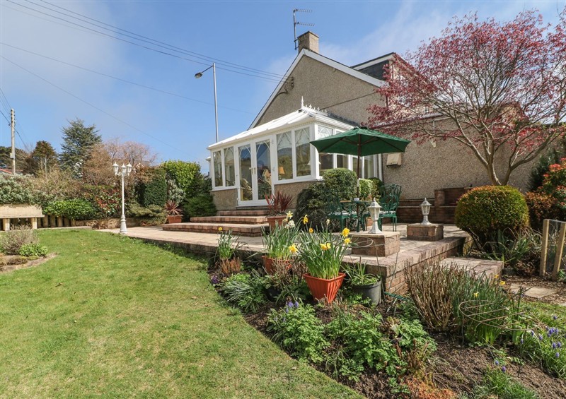 This is the garden at Llwyn Derw, Talybont