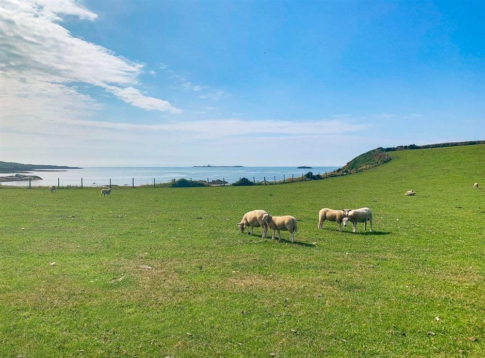 Surrounding area (photo 7) at Llwyn Ysgaw in Cemaes, Anglesey, Gwynedd