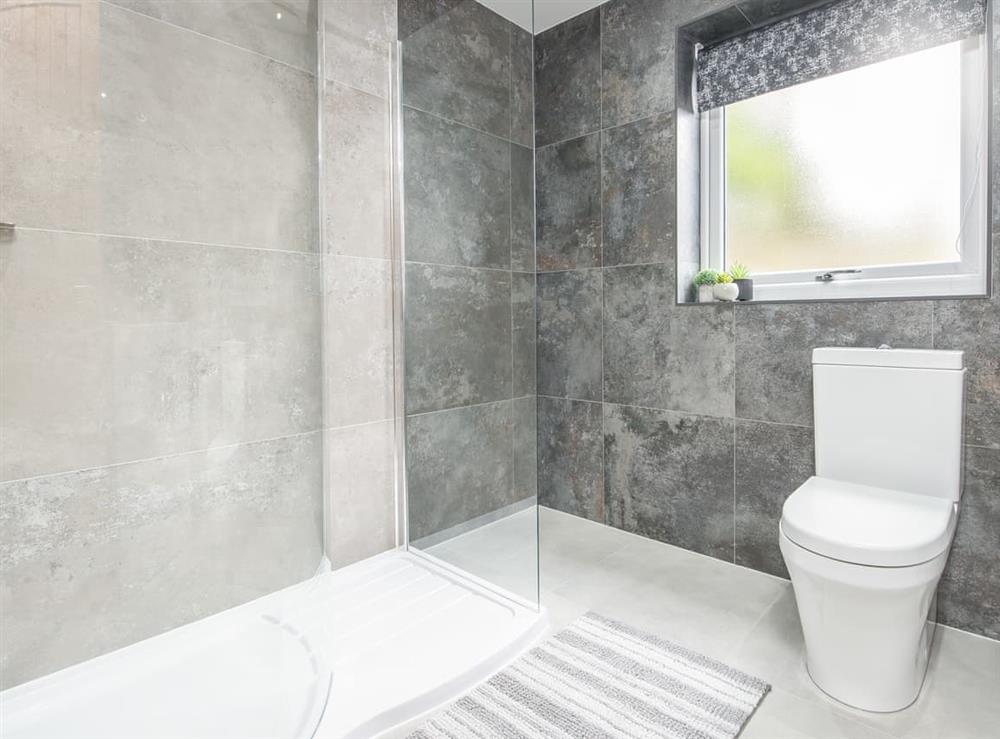 Shower room at Llwynblyfyn in Llansawel, near Llandeilo, Dyfed