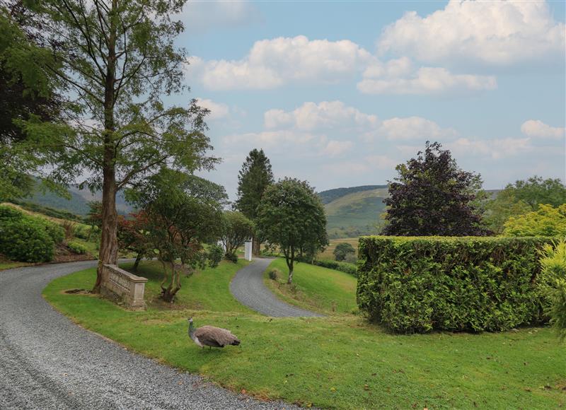 The setting around Llwynderw Hall