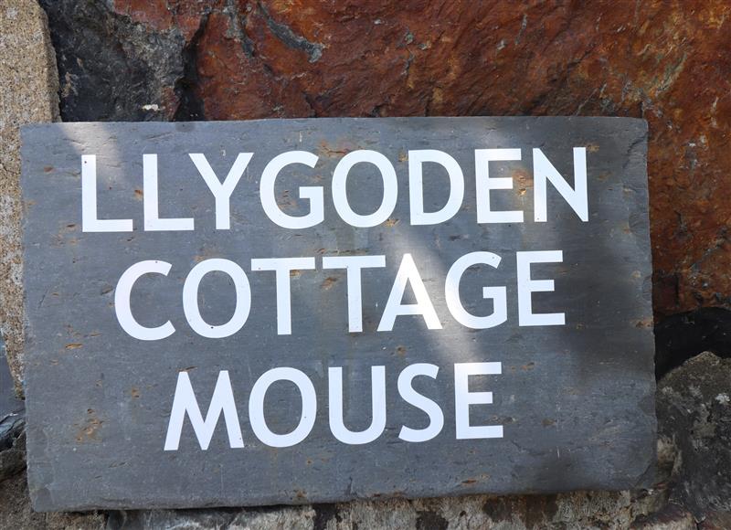 This is the garden (photo 2) at Llygoden Cottage, Beddgelert