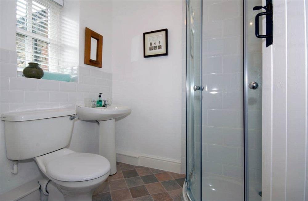 Bathroom at Llys Bychan in Pencaer, Pembrokeshire, Dyfed