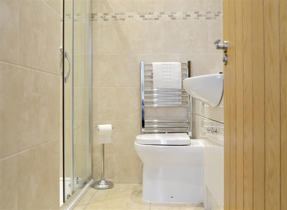 Shower room with heated towel rail at Llys Celyn in Aberystwyth, Dyfed