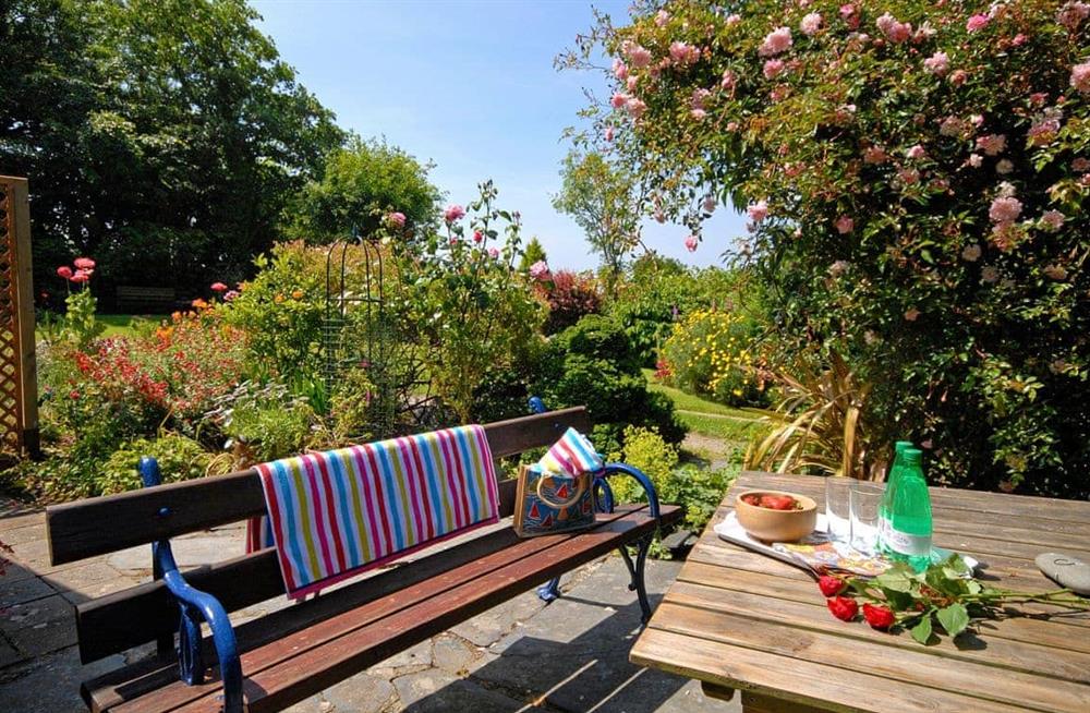 Enjoy the garden at Llys Isaf in St Nicholas, Pembrokeshire, Dyfed