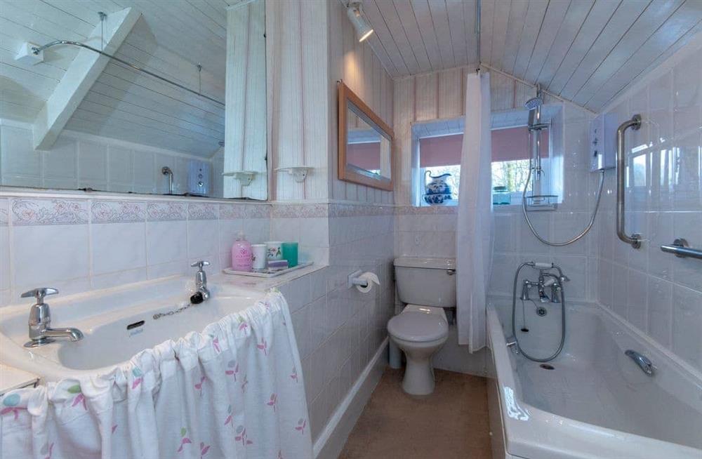 The bathroom at Llys Isaf in St Nicholas, Pembrokeshire, Dyfed
