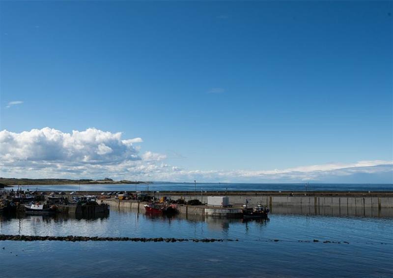 The area around Lobster Lodge at Lobster Lodge, Seahouses