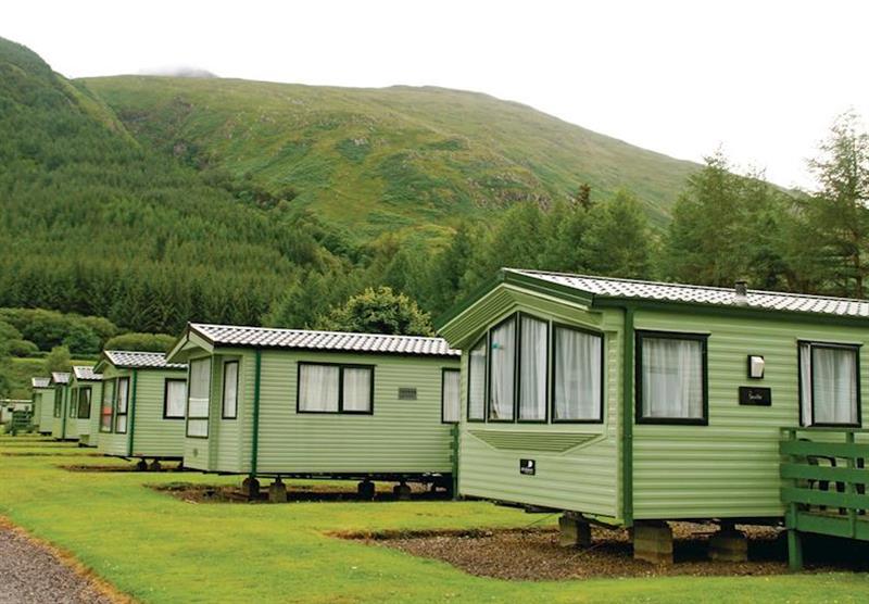 The park setting (photo number 3) at Loch Awe Holiday Park in Bridge of Awe, Taynuilt