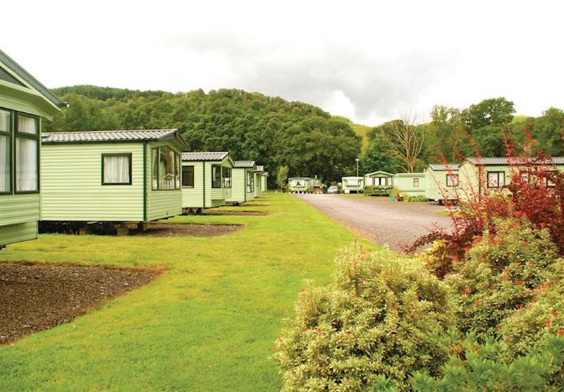 The park setting at Loch Awe Holiday Park in Bridge of Awe, Taynuilt