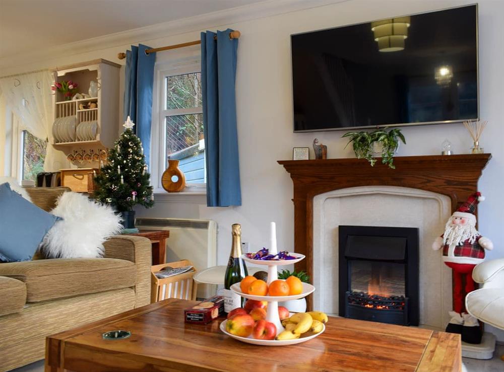 Cosy living area (photo 2) at Loch View Cottage in Strathyre, near Callander, Perthshire