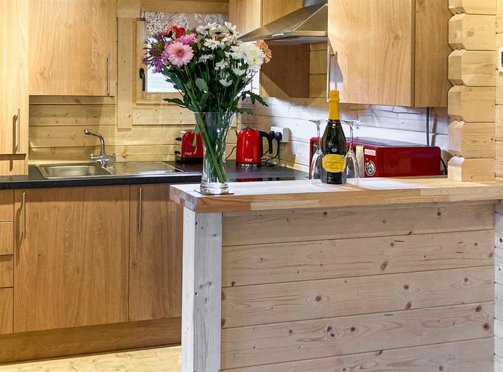 Kitchen at Lochinvar Clydesdale Cabin in Plains, near Airdrie, Lanarkshire