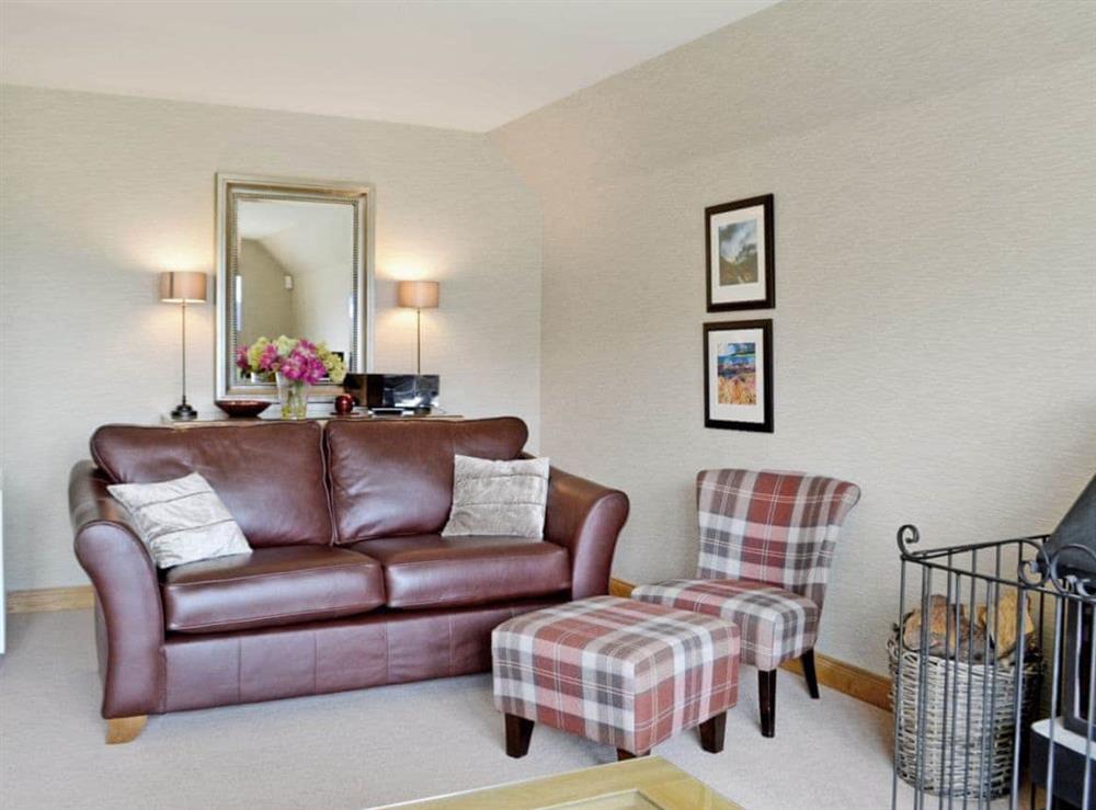 Living room (photo 3) at Lochnagar Lodge in Aviemore, Inverness-Shire