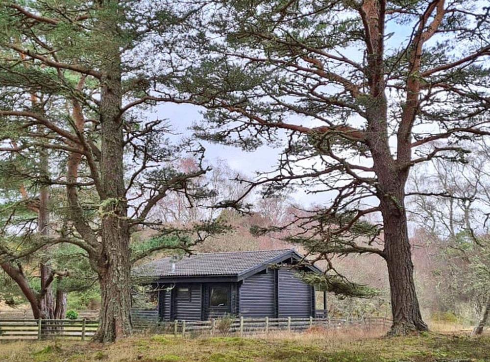 Exterior at Lochside Log Cabin in Brora, Sutherland