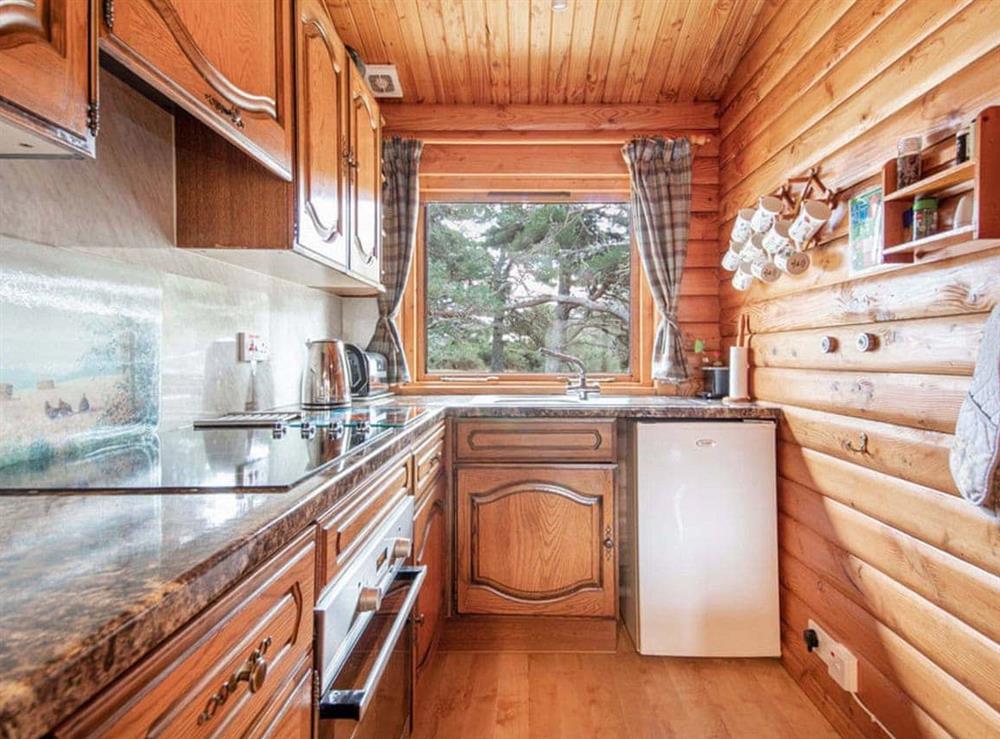 Kitchen (photo 2) at Lochside Log Cabin in Brora, Sutherland