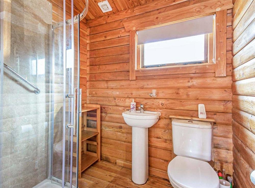 Shower room at Lochside Log Cabin in Brora, Sutherland