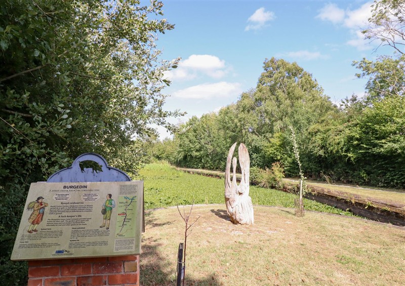 The garden at Lockmans Cottage, Arddleen near Llandrinio