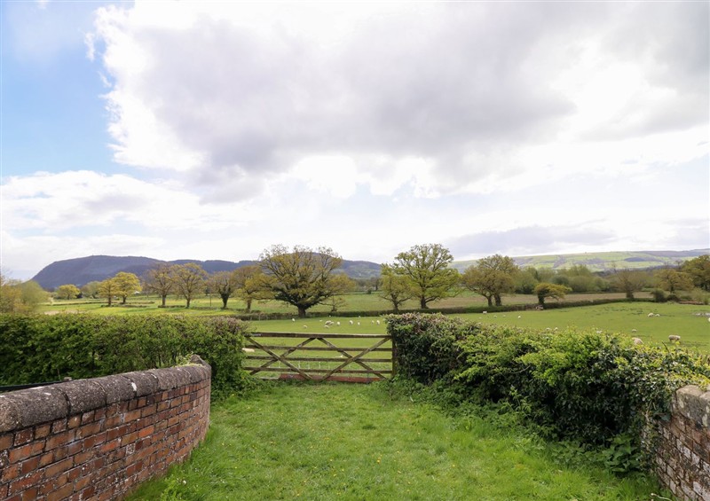 This is the garden at Lockmans Cottage, Arddleen near Llandrinio