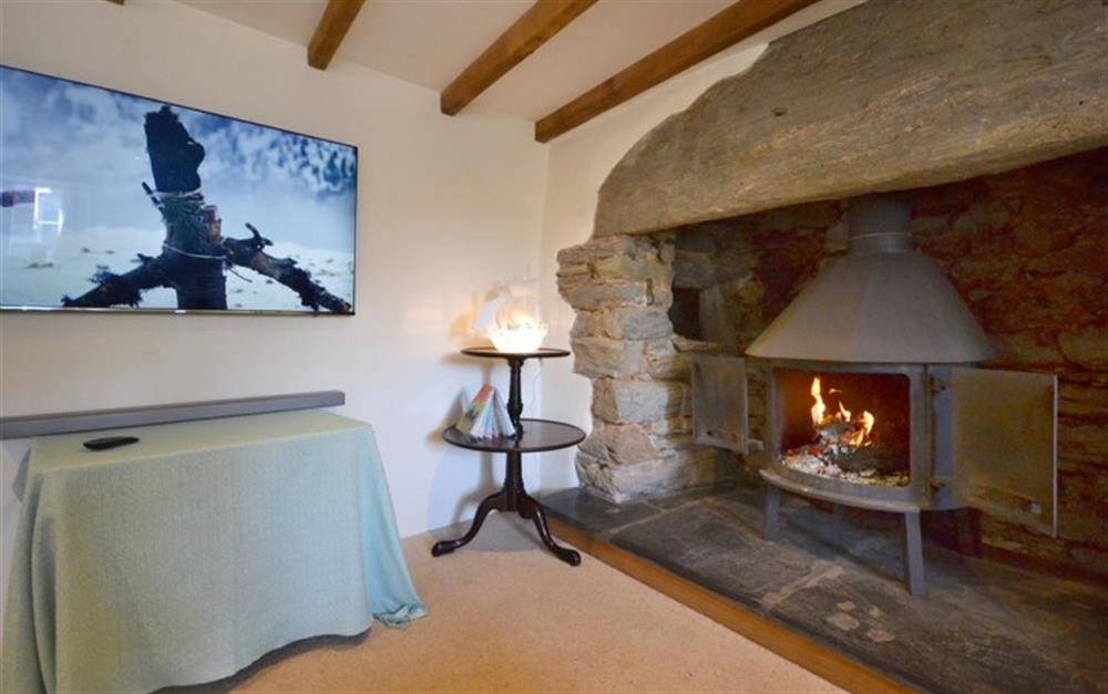 A sizable log burner and the TV perfect for a cosy night in watching a film. at Locks Farm in East Prawle