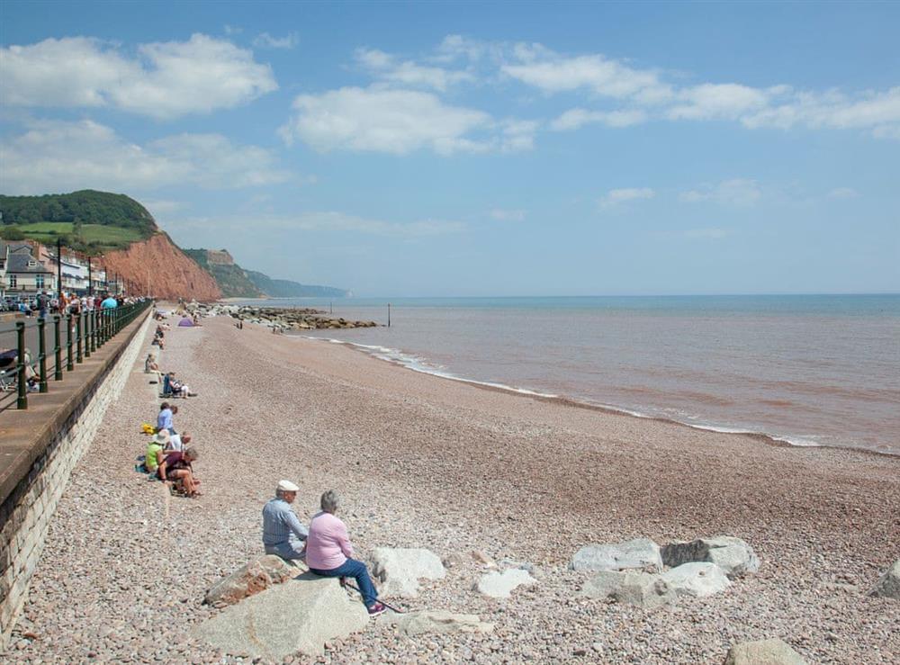 Surrounding area (photo 2) at Locomotion in Sidmouth, Devon