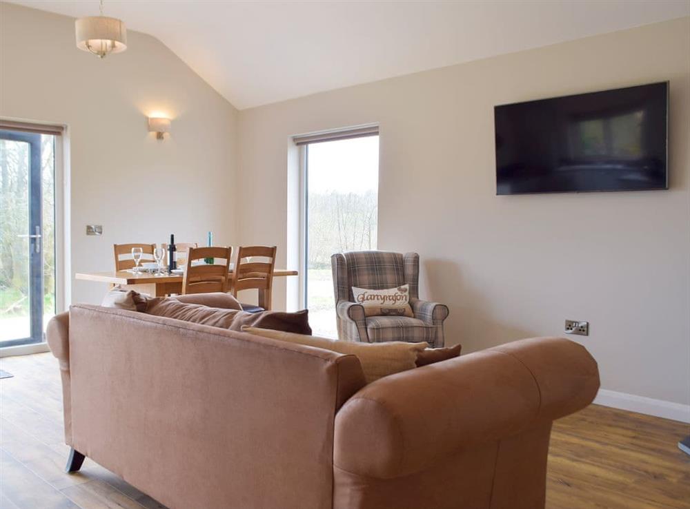 Living area (photo 2) at Lodge 1 in Cwrt Newydd, near Llandysul, Ceredigion, Dyfed