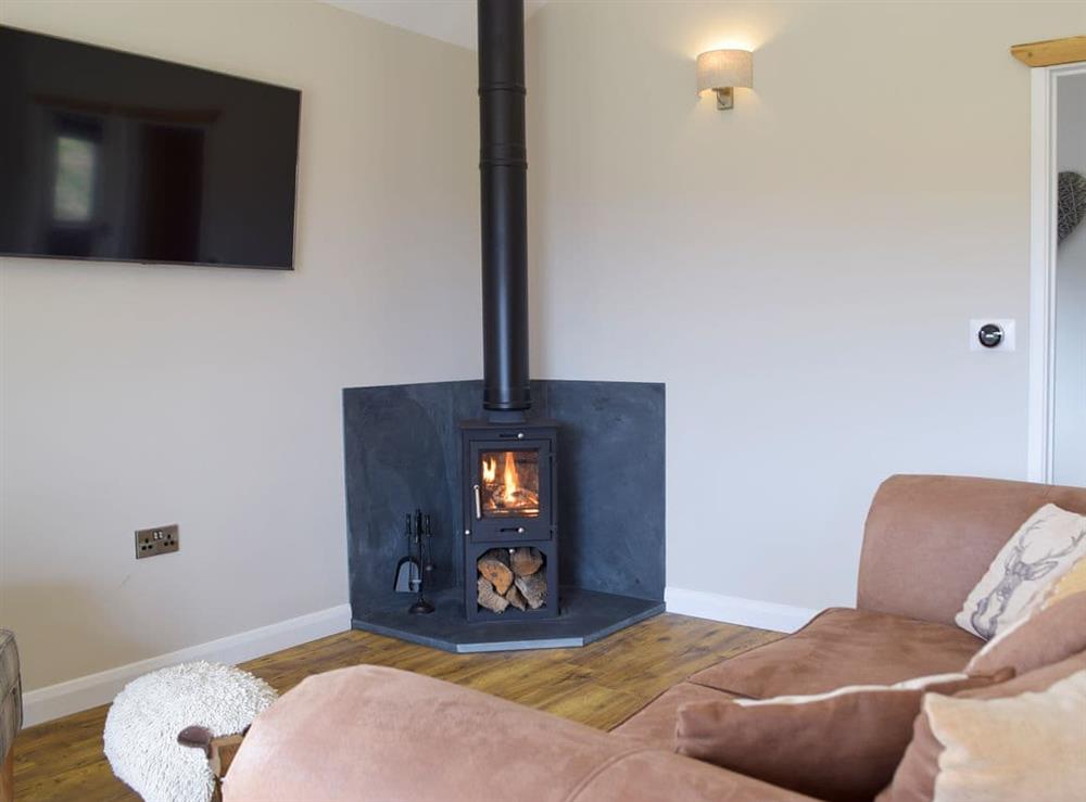 Living area at Lodge 1 in Cwrt Newydd, near Llandysul, Ceredigion, Dyfed
