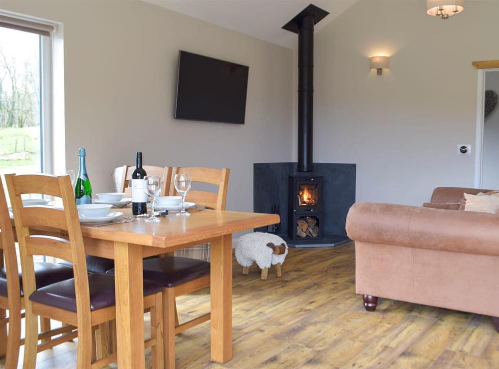 Open plan living space (photo 2) at Lodge 1 in Cwrt Newydd, near Llandysul, Ceredigion, Dyfed