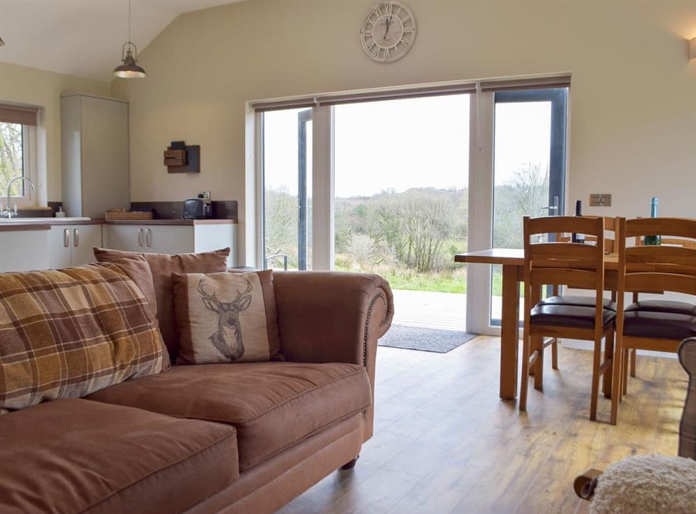 Open plan living space at Lodge 1 in Cwrt Newydd, near Llandysul, Ceredigion, Dyfed