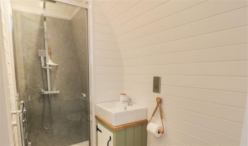 Bathroom at Lodge 1, Lochmaben