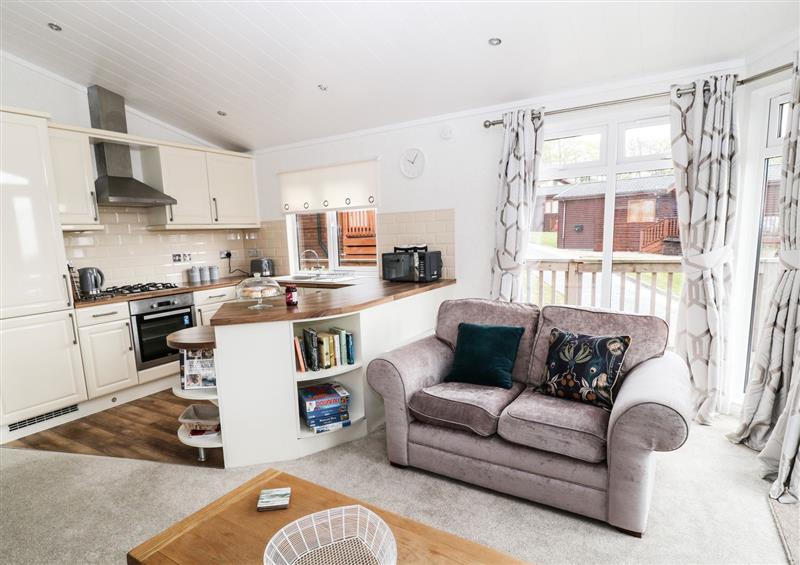 Enjoy the living room at Lodge 10, Tavistock