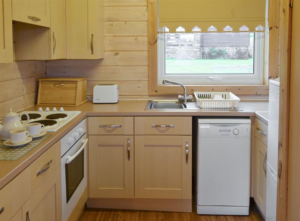 Well-equipped fitted kitchen at Lodge 18 in Woosley, Bideford, Devon