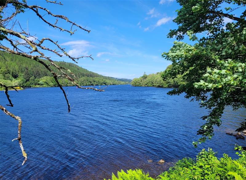 The setting of Lodge 2 - Inglewood Lodge