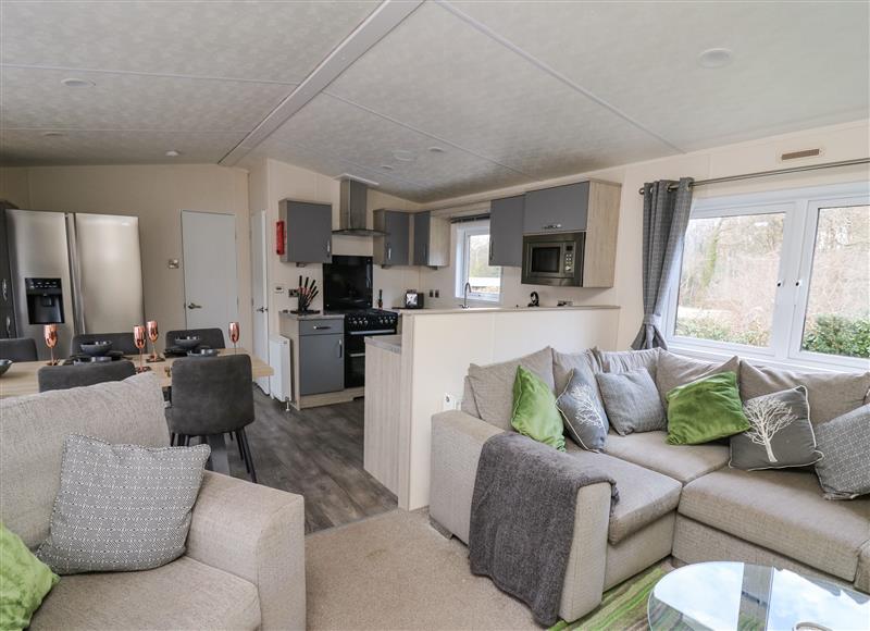 Relax in the living area at Lodge 43. Deri, Llanarth