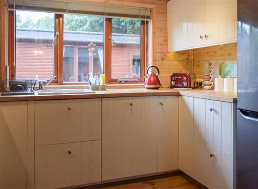 Kitchen area at Lodge 5 in Bridgnorth, Shropshire