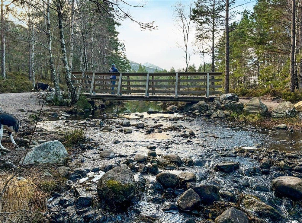 Surrounding area (photo 2) at Lodge 58 in Aviemore, Inverness-Shire