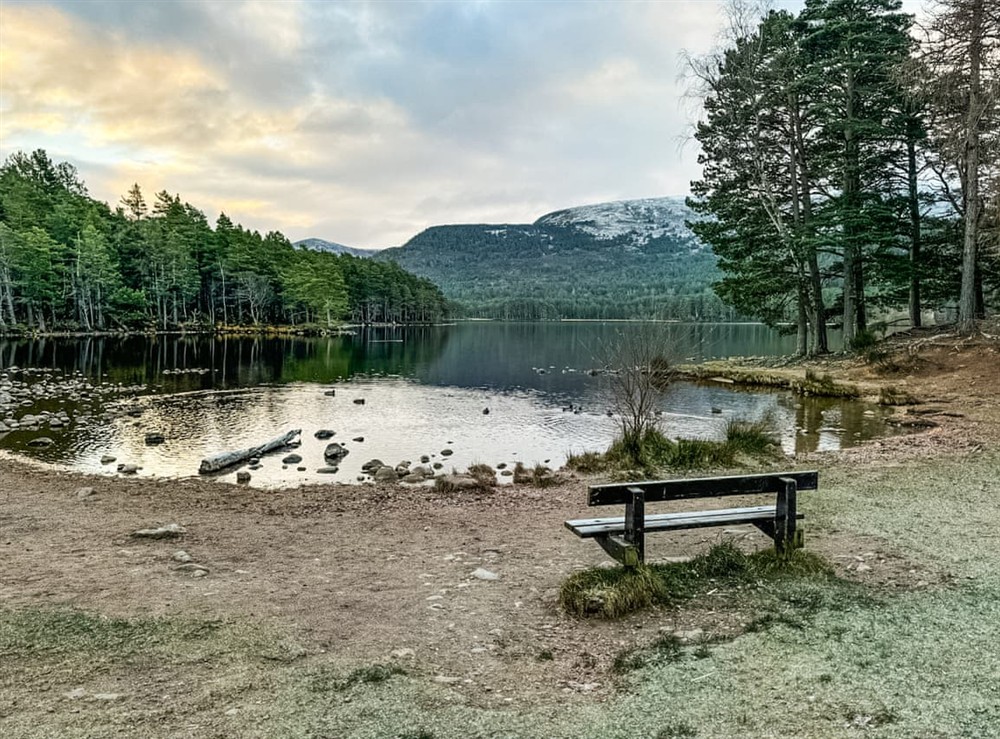 Surrounding area at Lodge 58 in Aviemore, Inverness-Shire