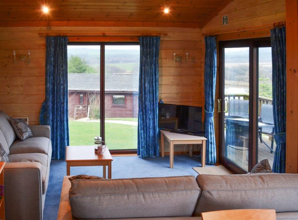 Delightful log cabin-like holiday home at Lodge 59 in Hartland Forest, near Bideford, Devon