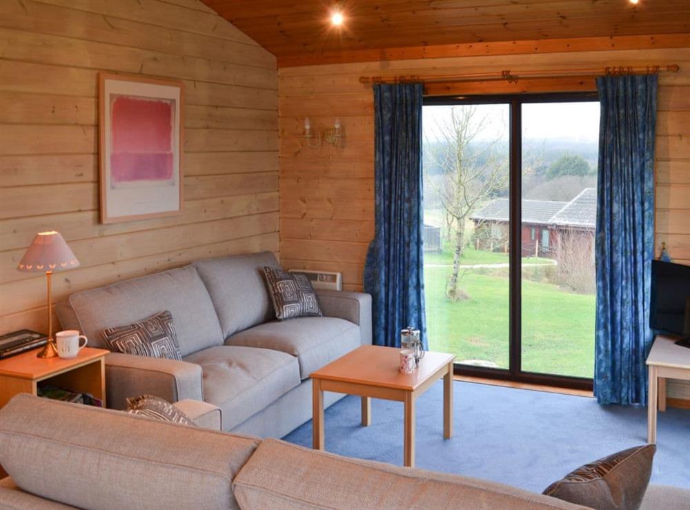 Dpacious, light and airy open plan living area at Lodge 59 in Hartland Forest, near Bideford, Devon