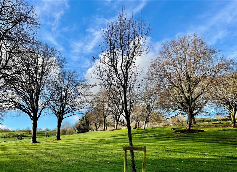 Rural landscape