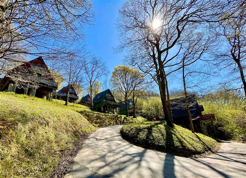 Rural landscape