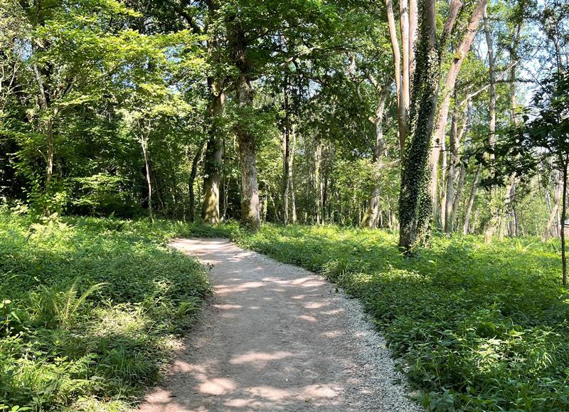 The area around Lodge 60 - Hazel Bank