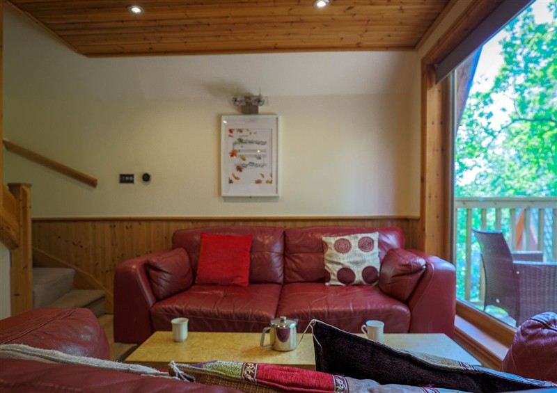 Enjoy the living room at Lodge 68 - Fern Gully, Finlakes Holiday Park near Chudleigh
