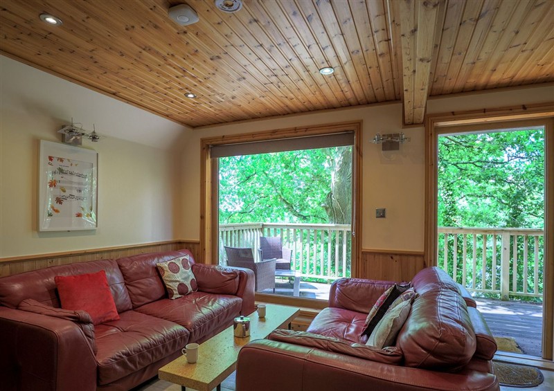 Inside Lodge 68 - Fern Gully at Lodge 68 - Fern Gully, Finlakes Holiday Park near Chudleigh